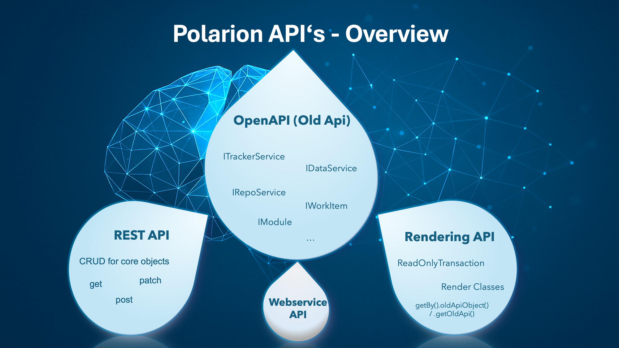 Mastering the Polarion API — A Developer’s Guide to Extensions and Integrations